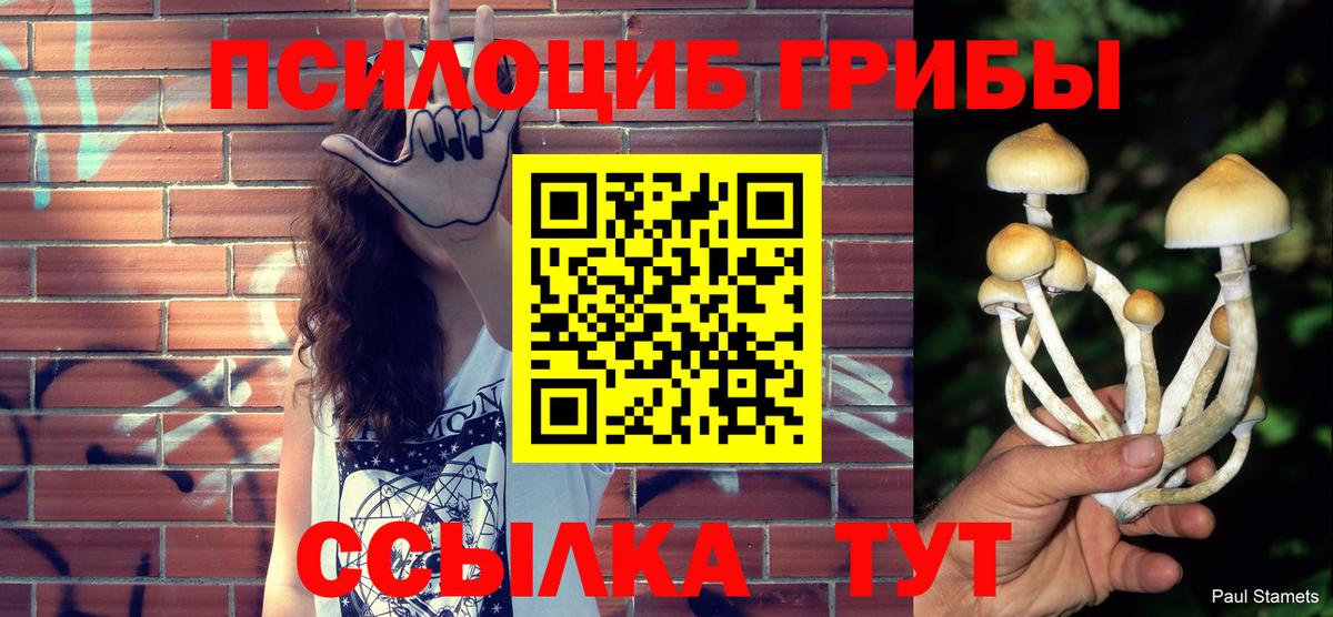 Псилоцибиновые грибы MAGIC MUSHROOMS  Вход с VPN  Благодарный 